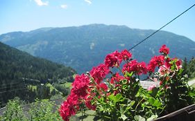 Chalet Catton Two Bedroom Appartement Near Bad Kleinkirchheim
