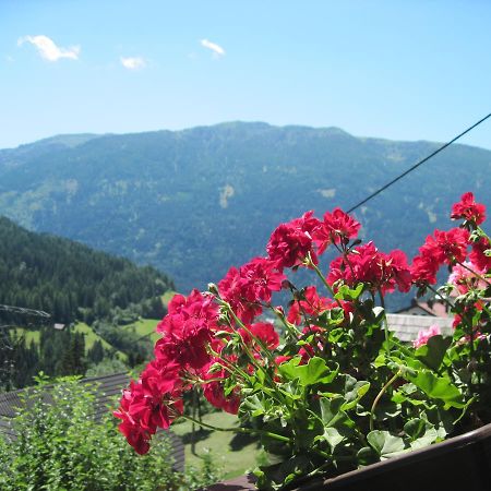 Chalet Catton Two Bedroom Appartement Near Bad Kleinkirchheim Radenthein Zewnętrze zdjęcie