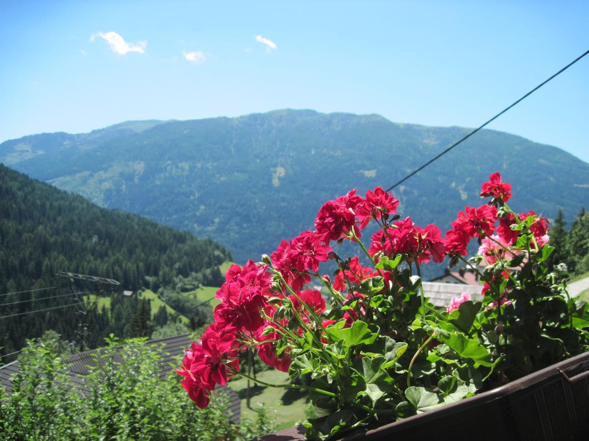 Chalet Catton Two Bedroom Appartement Near Bad Kleinkirchheim Radenthein Zewnętrze zdjęcie